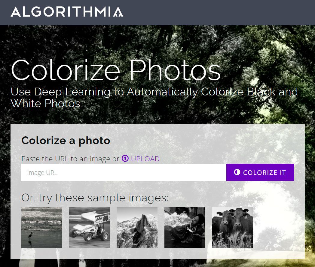 Colorize old photos online on algorithmic..
