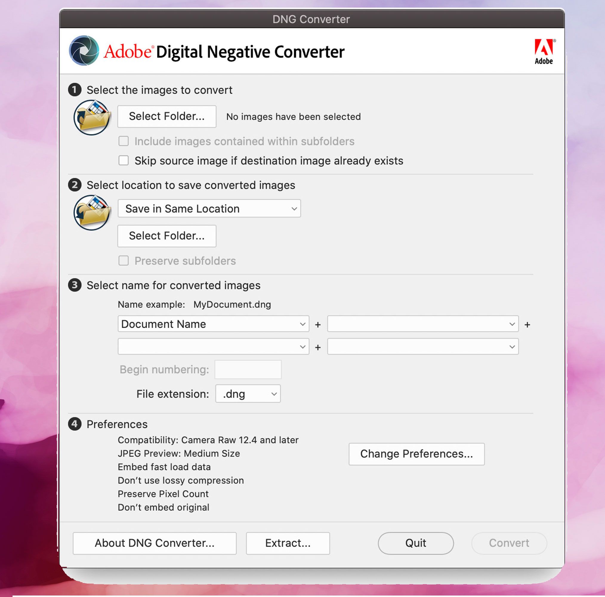 Adobe DNG Converter képernyőkép, DNG képek átalakítása JPEG-re..