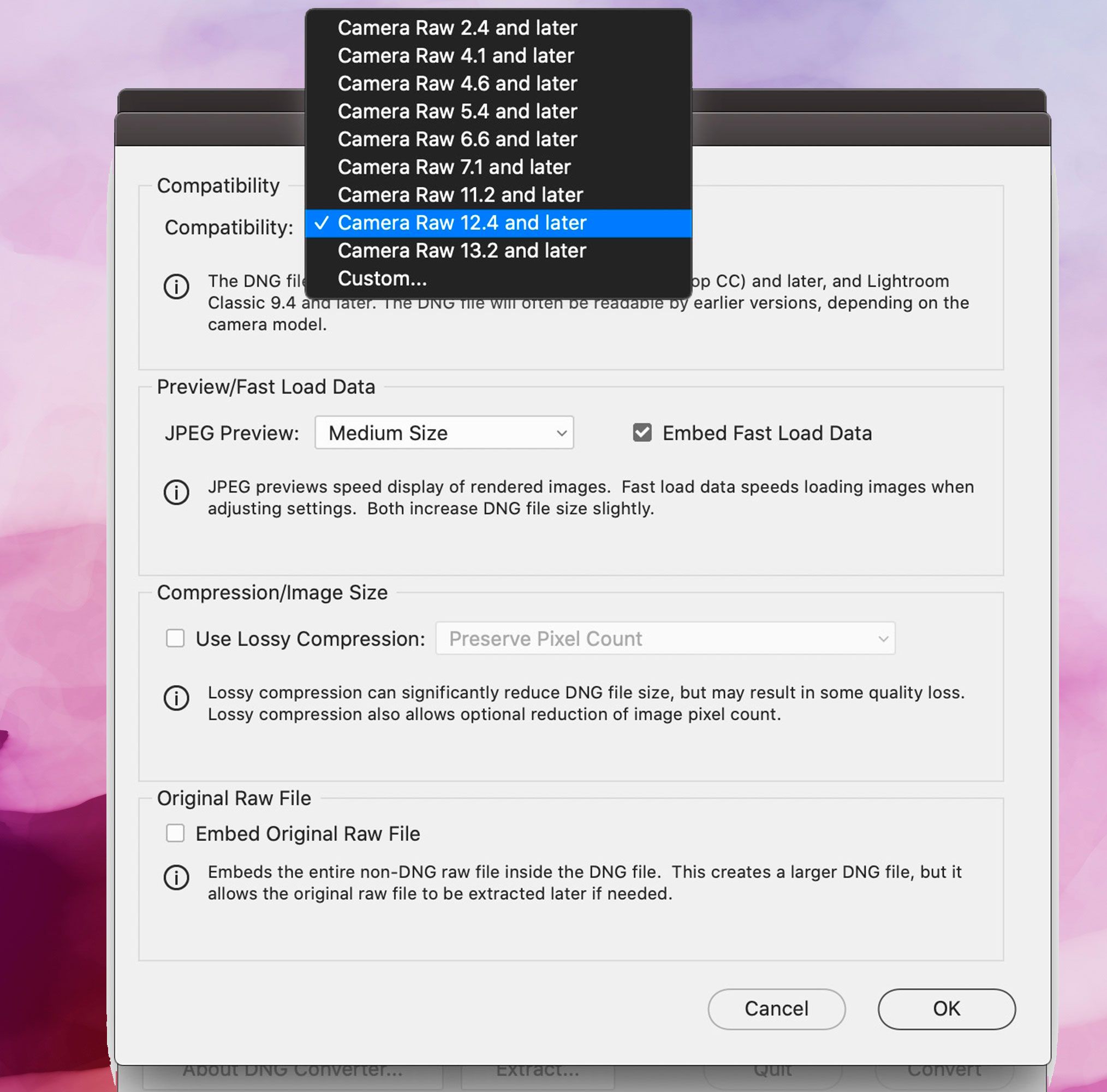 Adobe DNG Converter képernyőkép, Kompatibilitási beállítások..
