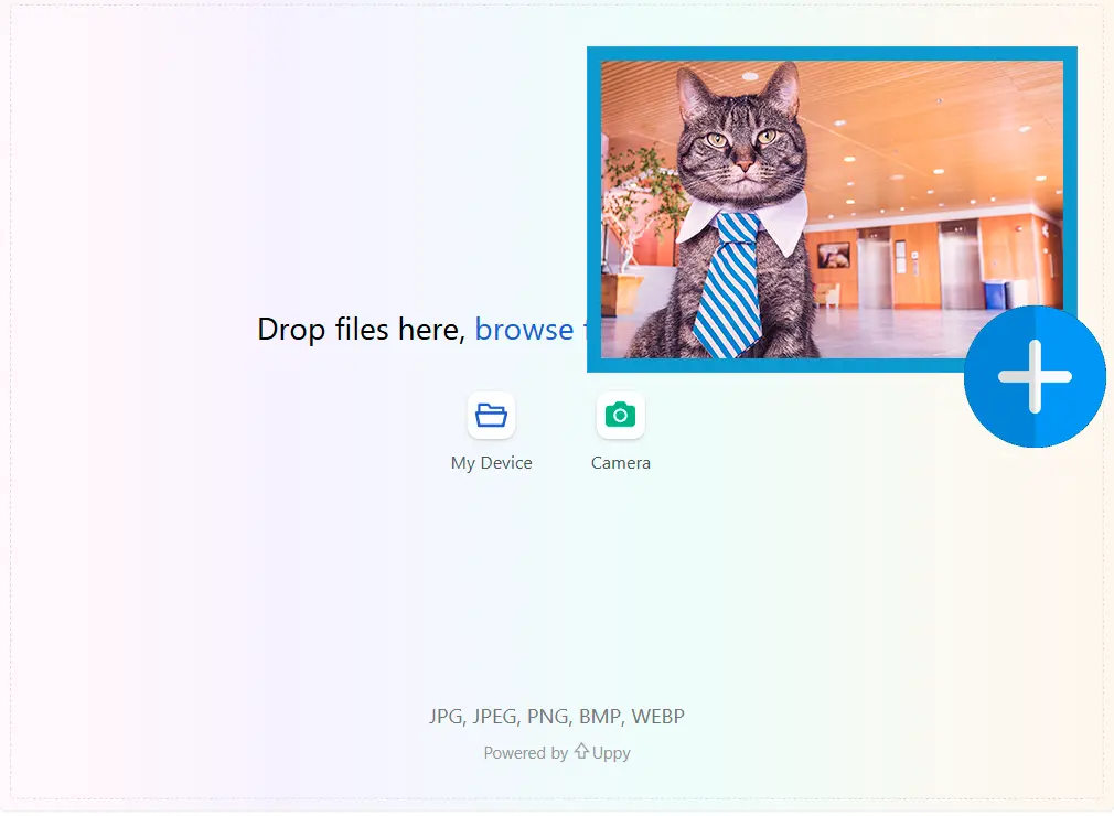 Töltse fel az Első Kockát.