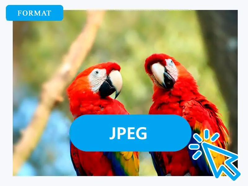 Válassza ki a JPG-t kimeneti formátumként.
