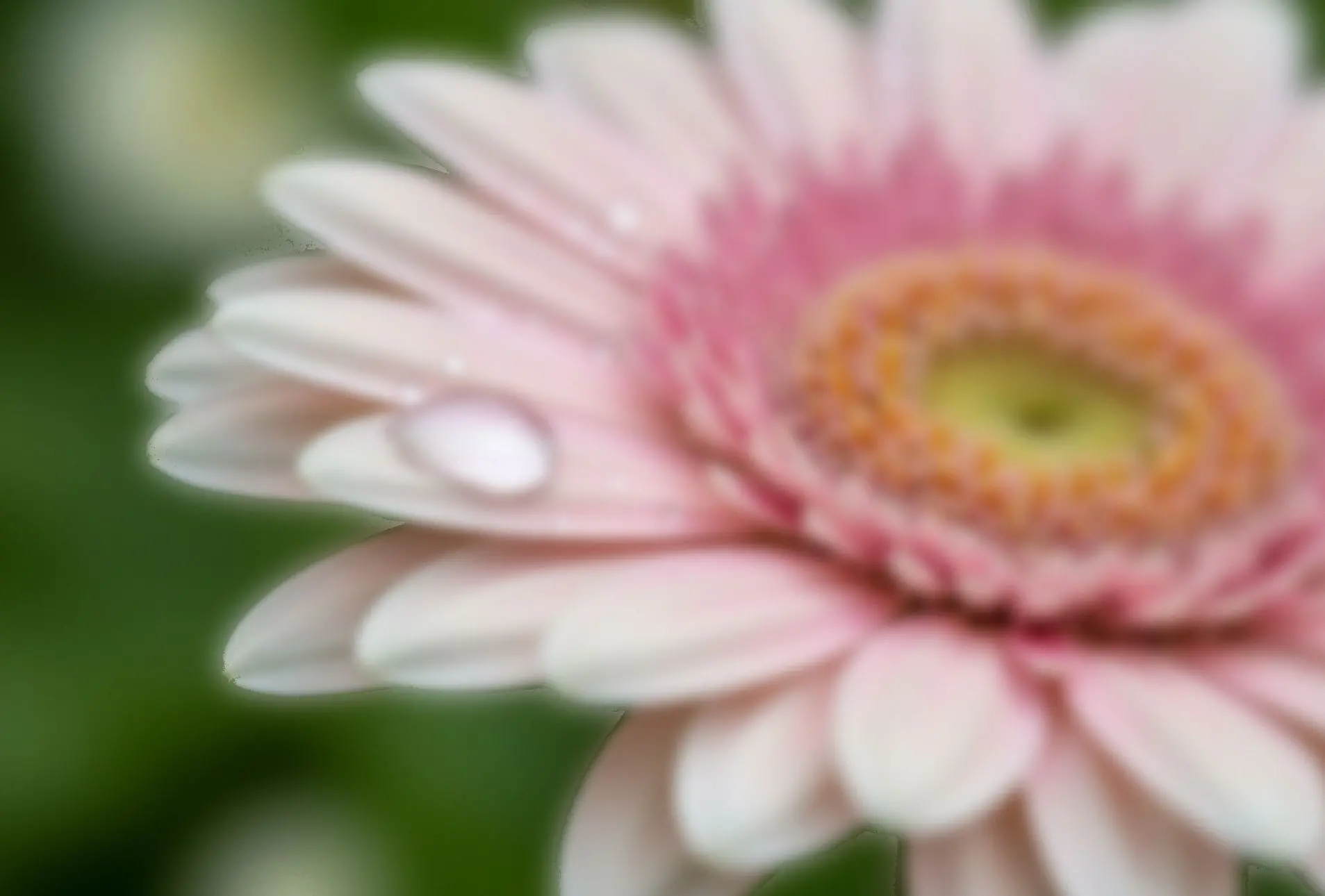 One frame of the series - only one plane is in focus.