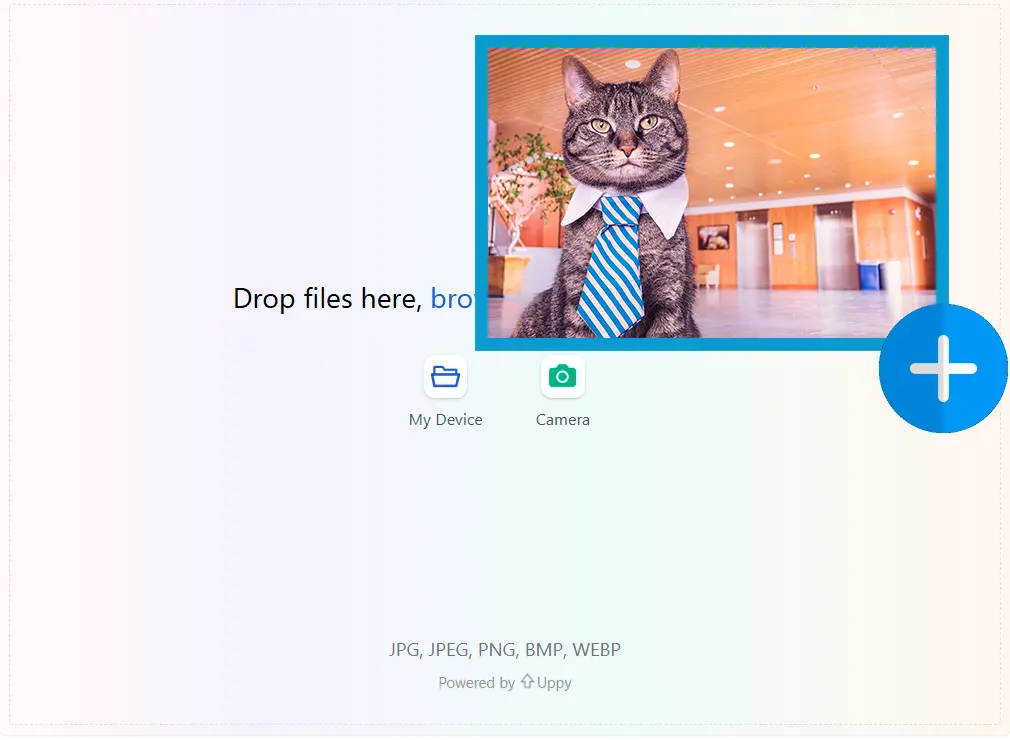 Töltsön fel egy kezdőképet.