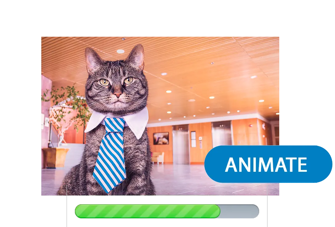 Generálja a videót.