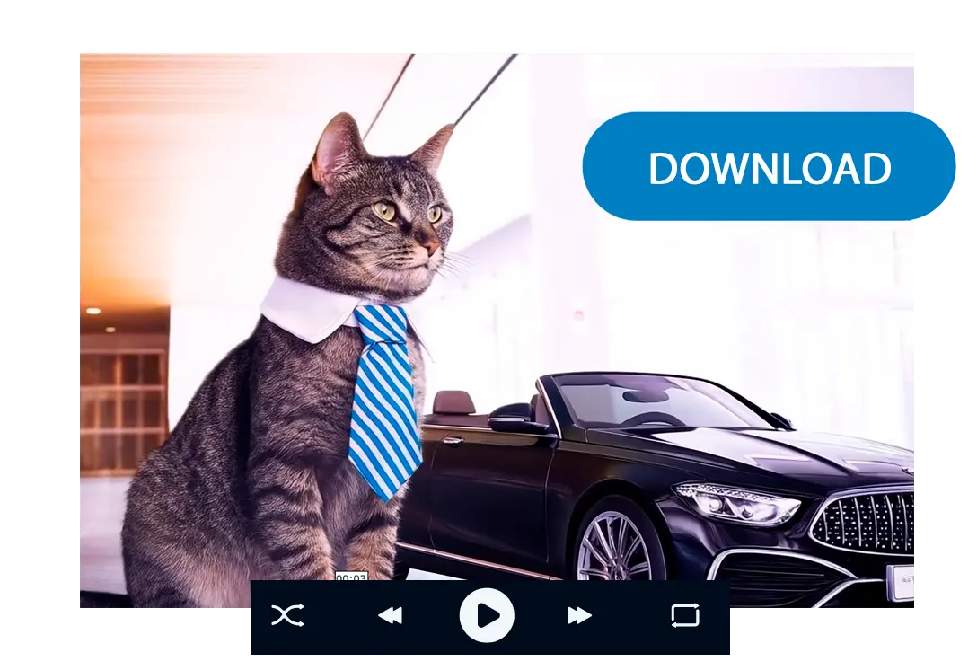 Töltse le a videóját.