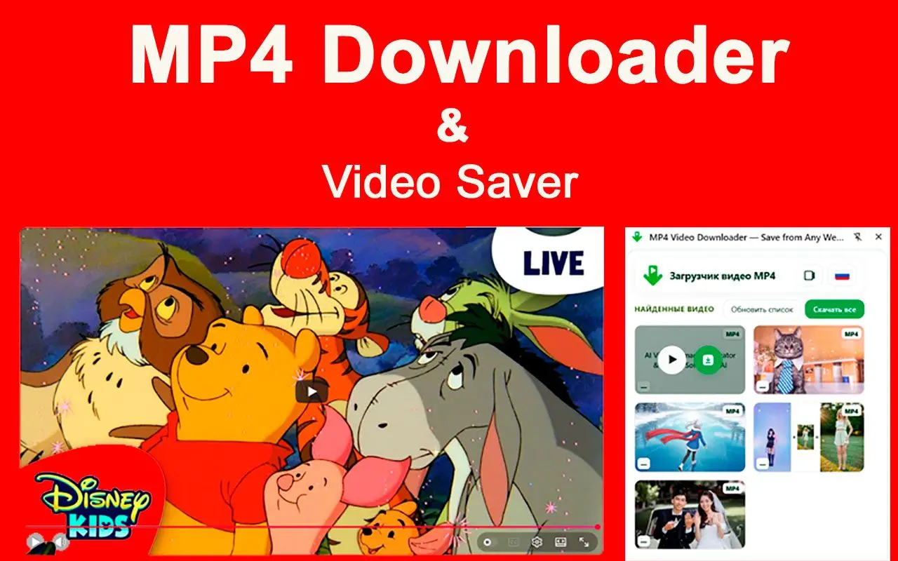 MP4 Downloader és Chrome bővítmény korlátozások.