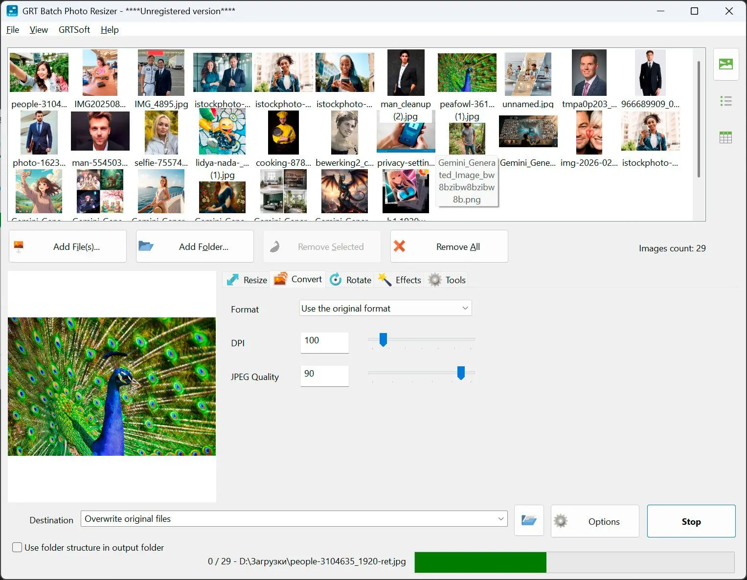 Indítás & A Kimeneti Mappa Ellenőrzése.