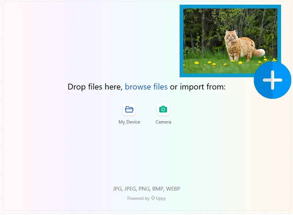 Töltsön fel egy Referenciaképet.