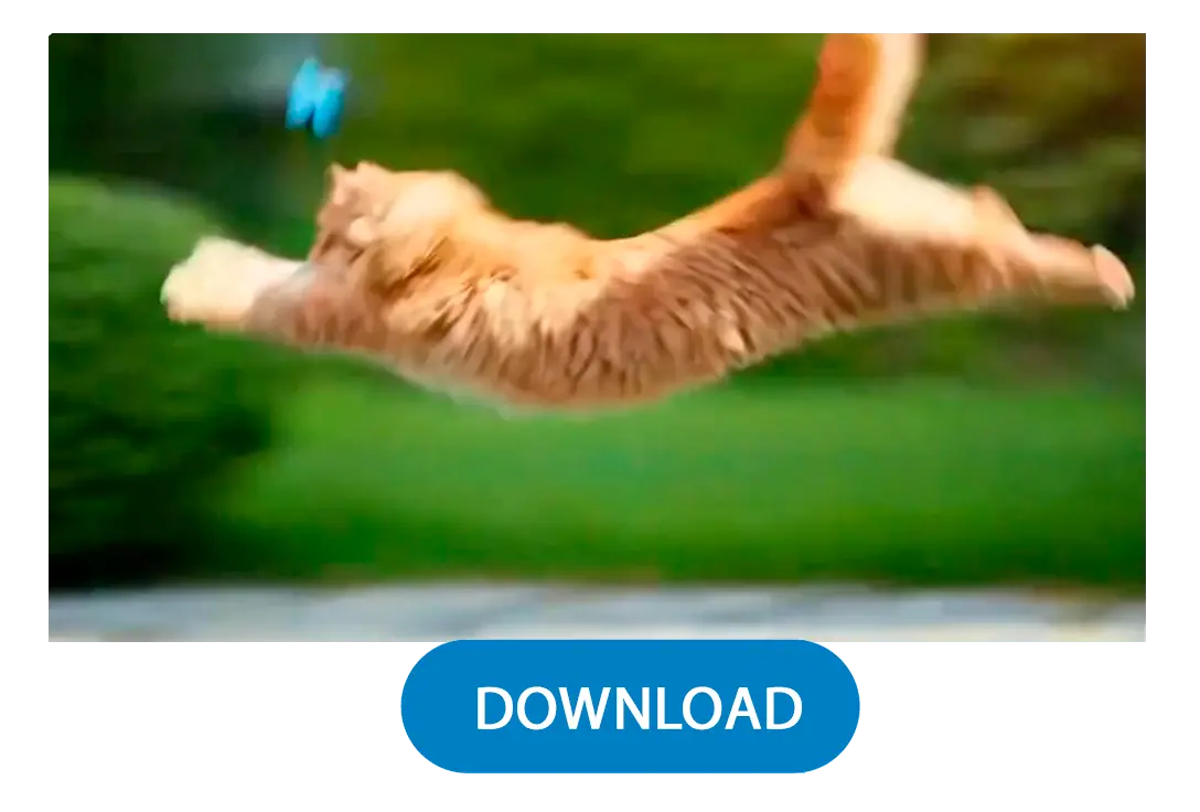 Generálás & Letöltés.